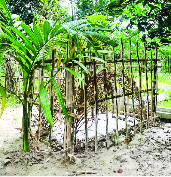 Image of মো: শাওন খান